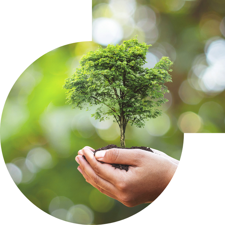 關懷人類、文化、環境與社會